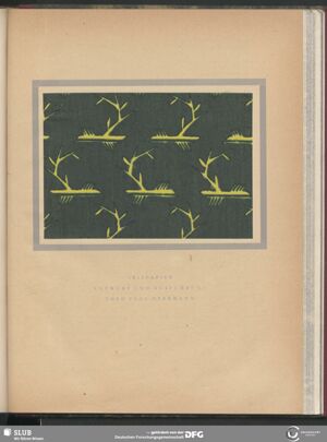 S.19