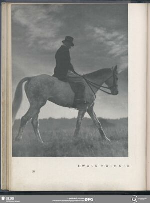 S.46