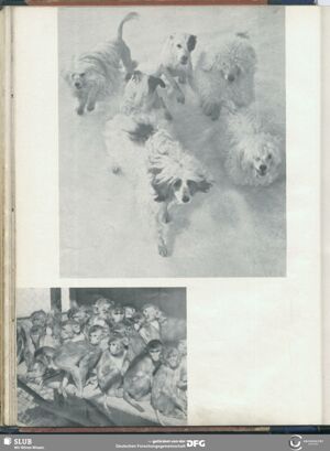 S.54