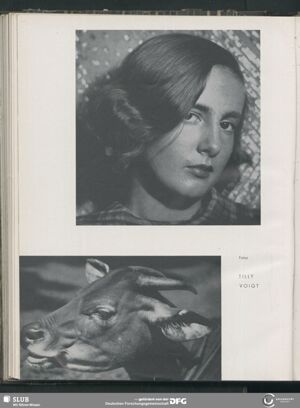 S.44