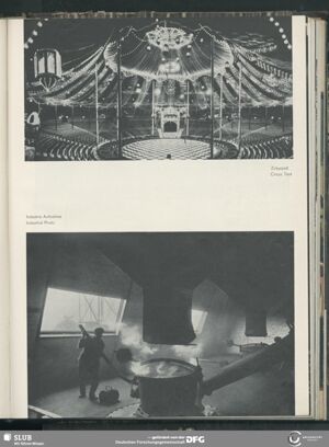 S.61