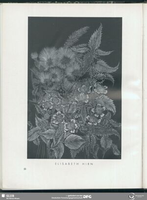S.52