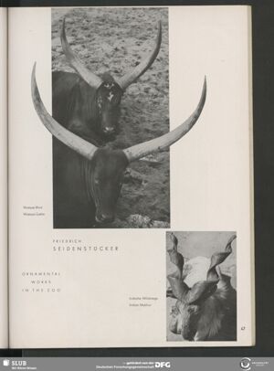 S.67