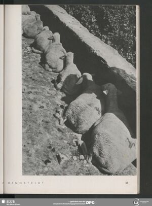 S.55