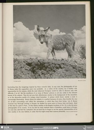 S.83