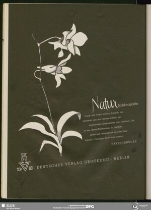 S.20
